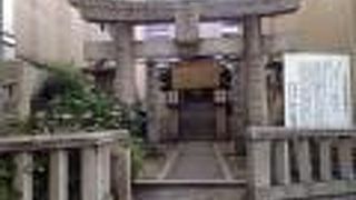 容姿は光り輝くばかり