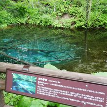 肉眼でもこんなふうに見えます