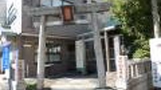 周囲に溶け込んでいました