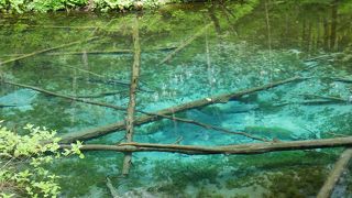 神秘的なエメラルドグリーンの池