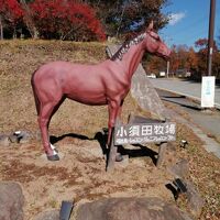 小須田牧場 写真