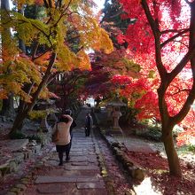 1つ目の、石段の参道からの紅葉