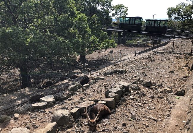 稲佐山公園 クチコミ アクセス 営業時間 長崎市 フォートラベル