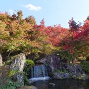 美しい紅葉が見られる日本庭園のような公園でした