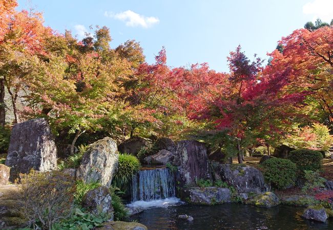 美しい紅葉が見られる日本庭園のような公園でした