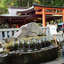 手水舎。屋外ですが。