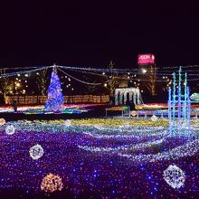 色とりどりの電球が輝くイルミネーション