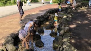 自然がいっぱいでどこでも遊べる