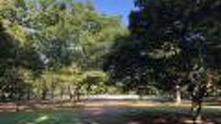 清澄庭園に隣接した緑豊かな公園