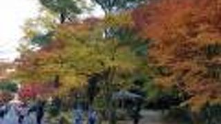 紅葉が綺麗でした。