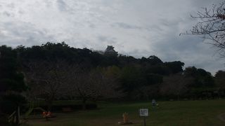 展望広場から市内を一望できます