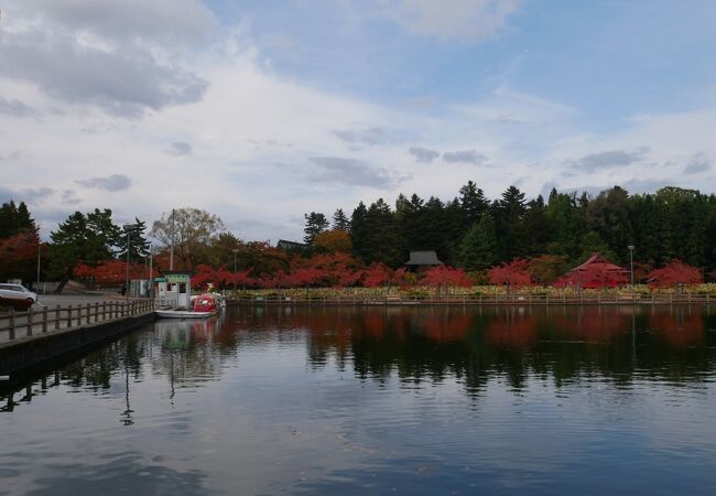 大きな公園