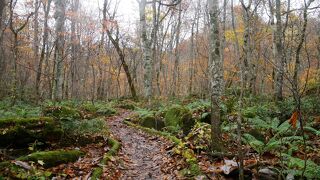 ちゃんと整備されています