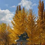 美しい公園