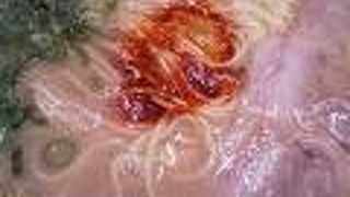 とても高級感のある美味しい博多とんこつラーメン