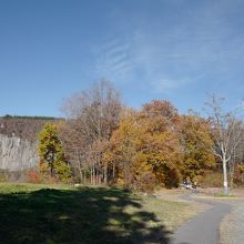 駐車場からは殆ど勾配のない整備された道なので歩きやすいです。