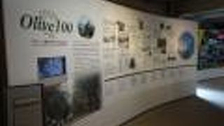 小豆島のオリーブ関係の展示がされています。