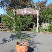 大神ファームの入り口看板