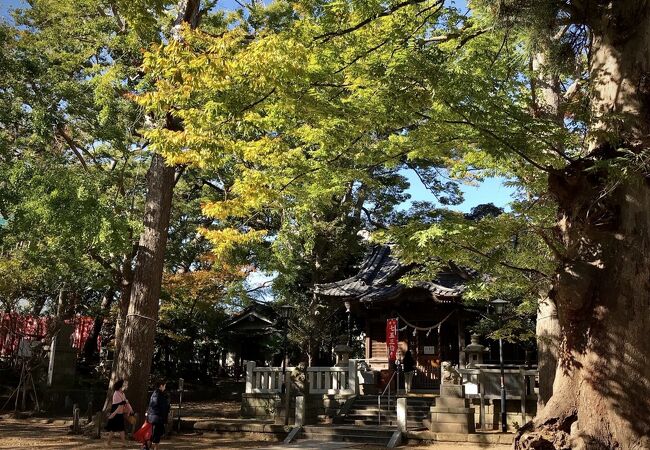 亀岡八幡宮 クチコミ アクセス 営業時間 逗子 葉山 フォートラベル