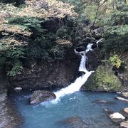 箱根の秘境を満喫できる遊歩道