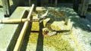 奥武山公園の中の大きな神社。