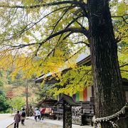 紅葉と秋保大滝