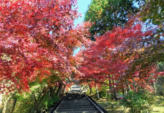 前田公園