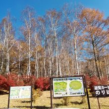 天空の遊覧カート乗り場