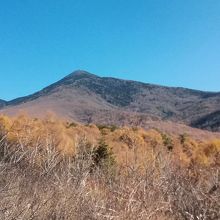 背後には八ヶ岳連峰が