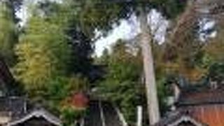 青林寺 和倉温泉