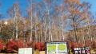 富士山や南北アルプス，八ヶ岳の絶景を拝める