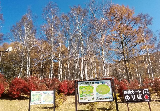 富士見のおすすめ観光スポット クチコミ人気ランキングtop フォートラベル 長野県 富士見のおすすめ観光スポット クチコミ人気ランキングtop フォートラベル 長野県
