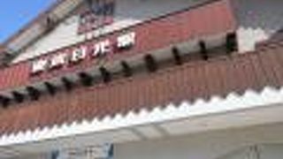 日光には東武が便利