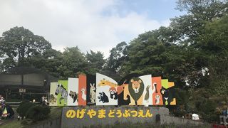 休日は親子連れで混雑