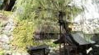 風情ある柳の下にある宗祇水