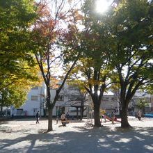 水深公園には、緑の樹々が多く、心地よい日影が広がっています。