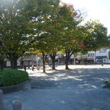 水深公園の中には、日差しの強い場所もあり、日影もあります。