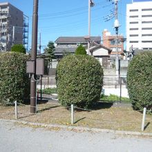 水深公園の周囲には、緑の樹々が植えられ、手入れもされています