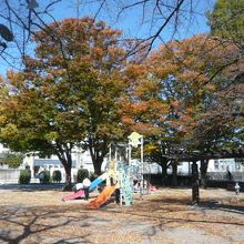 水深公園の樹々と遊具の状況です。子供たちの楽しい遊び場です。