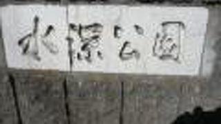 水深公園は、ＪＲ南浦和駅の南側にある公園で、緑の樹々に囲まれた家庭的な雰囲気の公園です。