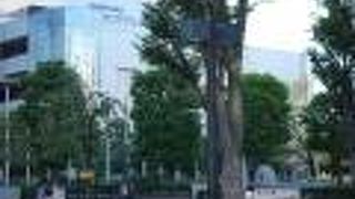 駅前広場のような役割を持つ便利な公園