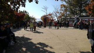 コロナだけど混んでる