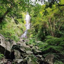 秘境感いっぱい フナンギョの滝 タンギョの滝 17年1月 奄美大島で滝めぐり カヌー体験 その7 奄美大島 鹿児島県 の旅行記 ブログ By Joecoolさん フォートラベル 秘境感いっぱい フナンギョの滝 タンギョの滝 17年1月 奄美大島で滝めぐり カヌー体験 その7 奄美大島 鹿児島県 の旅行記 ブログ By Joecoolさん フォートラベル