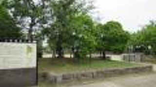 聖徳太子ゆかりの地なのよ