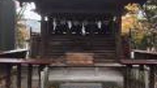 見どころのたくさんある見事な神社です。