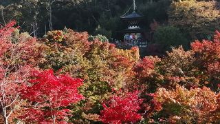 まだ早めですが、池の方は、赤くなっていました