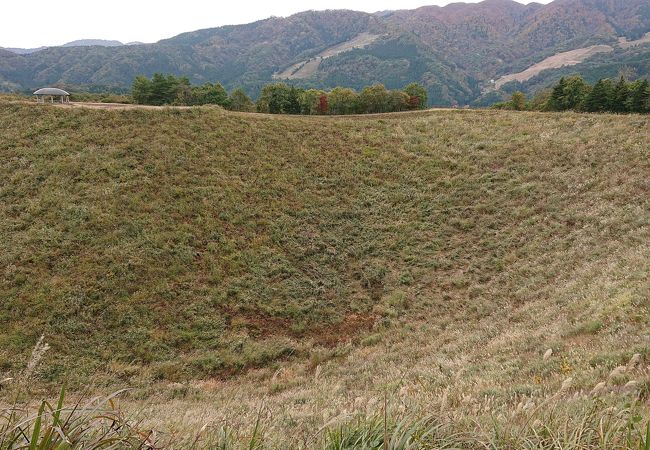 野生動物の痕跡多数