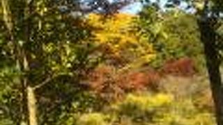 のんびりゆったり