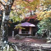 吉野山の紅葉！