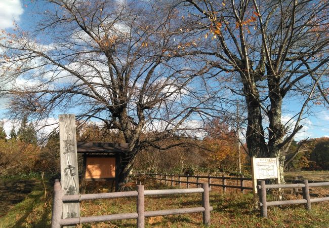 上原遺跡